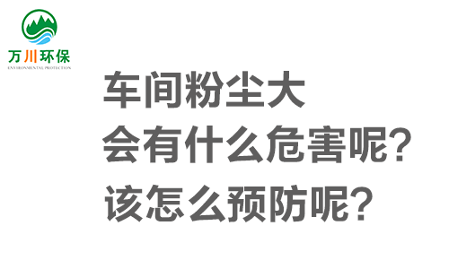 車間粉塵大會(huì)有什么危害呢？該怎么預(yù)防呢？